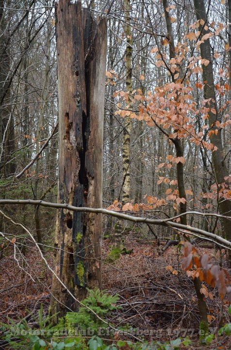 Wandertag 2016 - 107.jpg